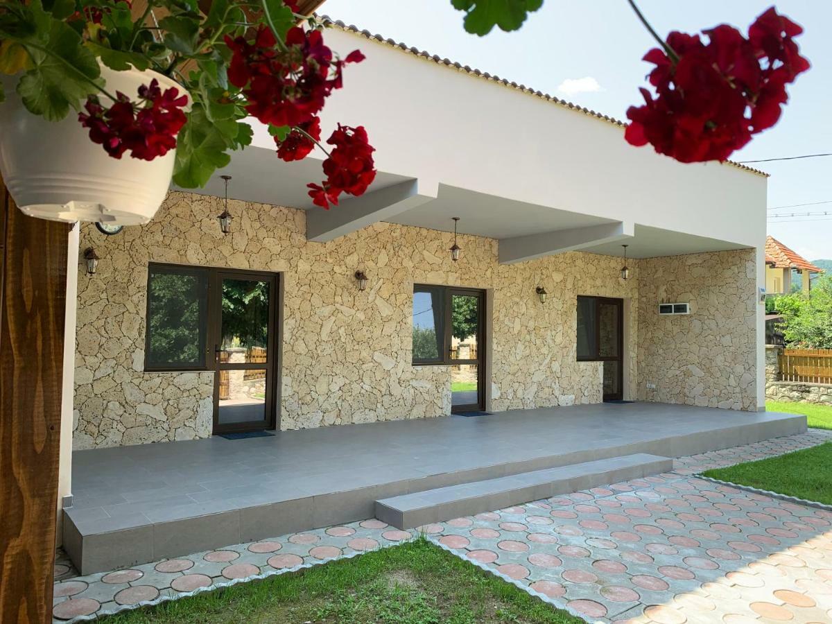 Casa Roka Lägenhet Ieşelniţa Exteriör bild