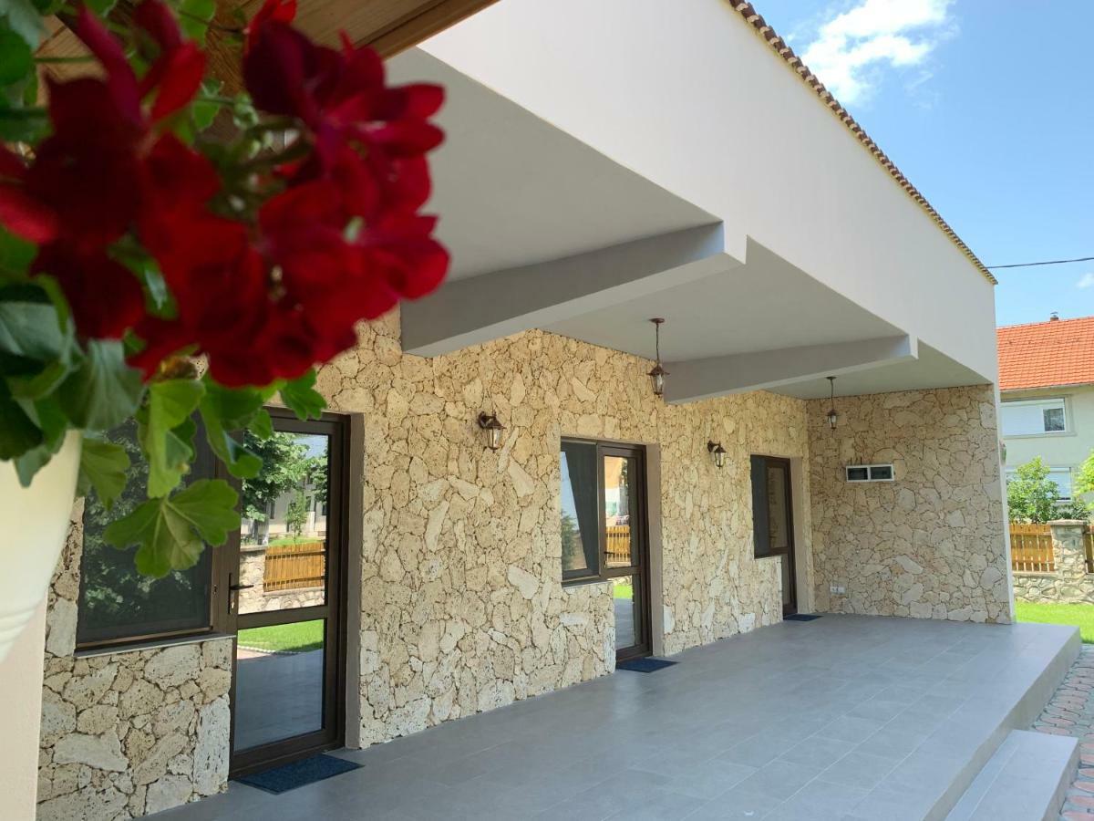 Casa Roka Lägenhet Ieşelniţa Exteriör bild